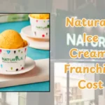Naturals Ice Cream Franchise Cost