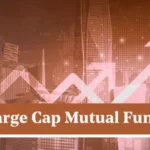 Large Cap Funds