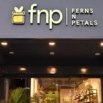 FNP Franchise Cost